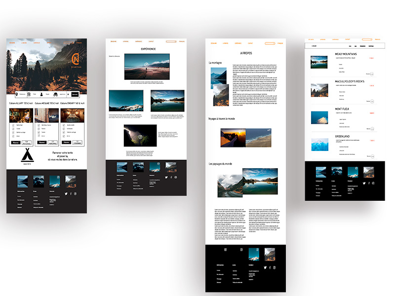 maquette du site nomade chronic