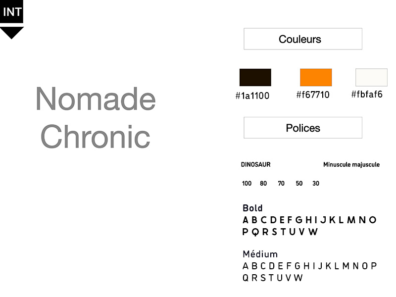 maquette du site nomade chronic